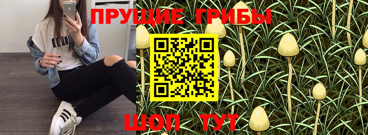 Сорочинск  Галлюциногенные грибы мицелий  Вход с VPN 