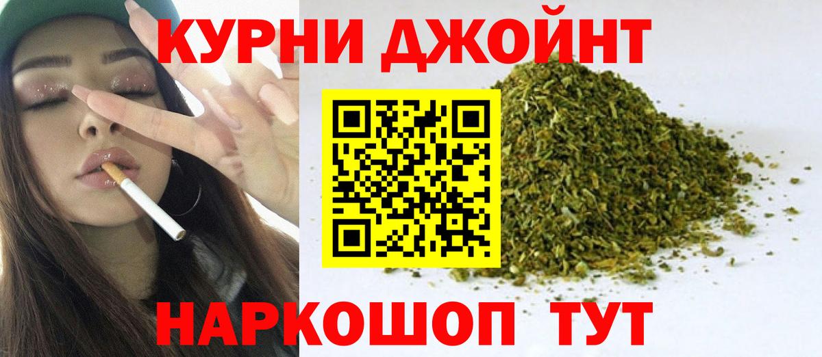 Каннабис планчик Сорочинск